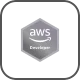 AWS Cloud Developer